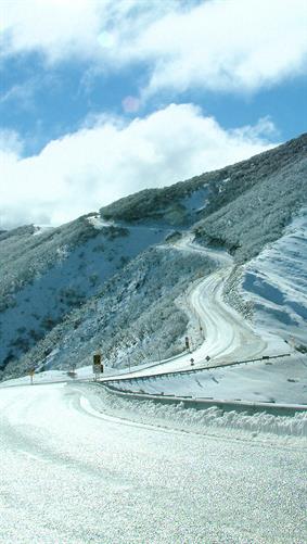 Mt. Hotham Snow Fields, VIC.